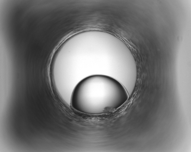 X0000099380244200805081205