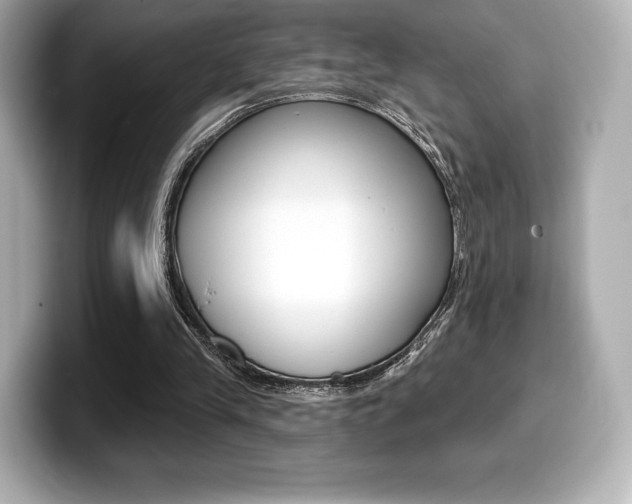X0000099380245200805081205