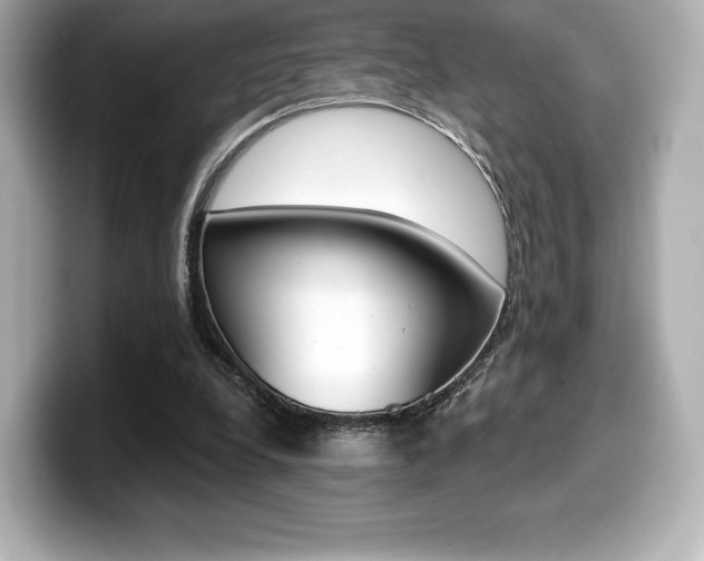 X0000099380248200805081205