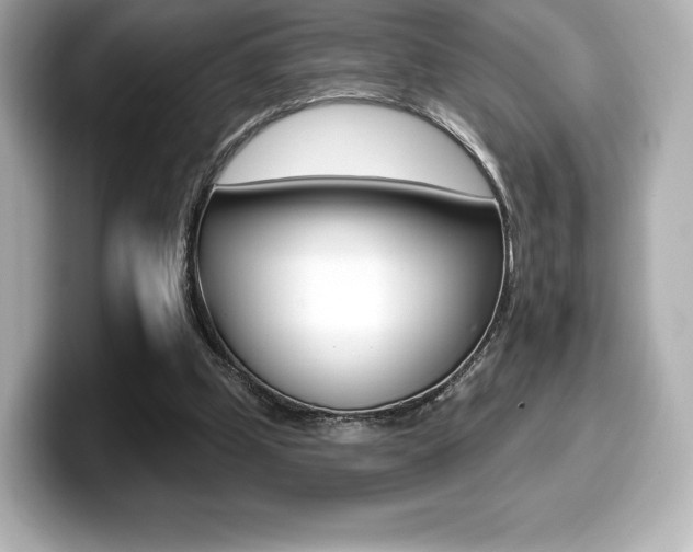 X0000099380249200805081205