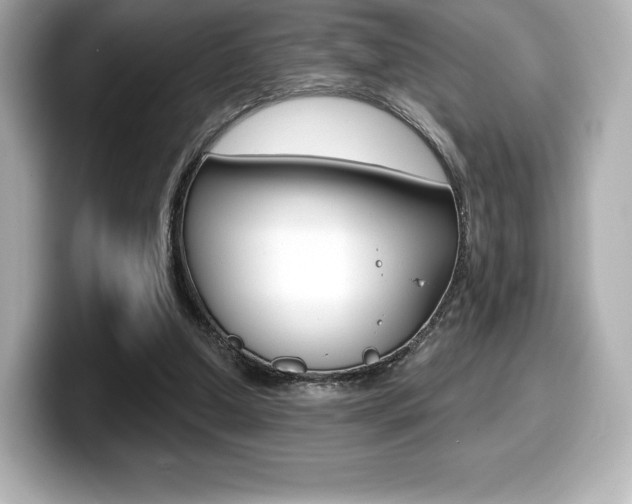 X0000099380250200805081205