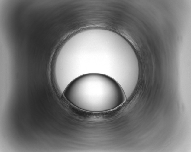 X0000099380252200805081205