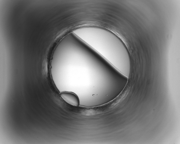 X0000099380253200805081205
