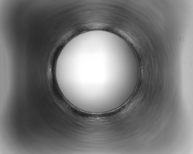 X0000099380254200805081205