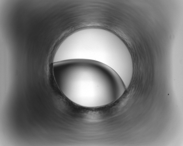 X0000099380256200805081205