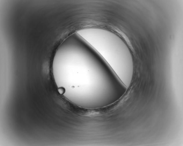 X0000099380257200805081205