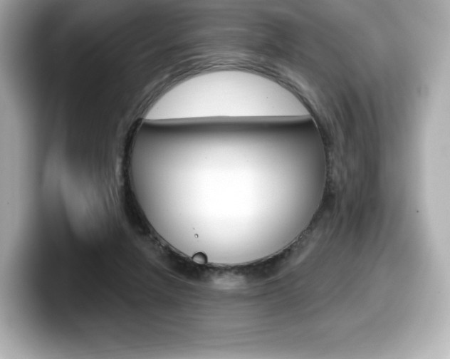 X0000099380258200805081205