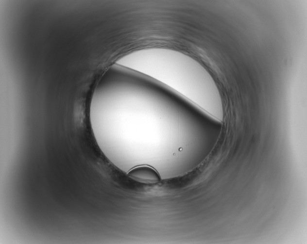 X0000099380259200805081205