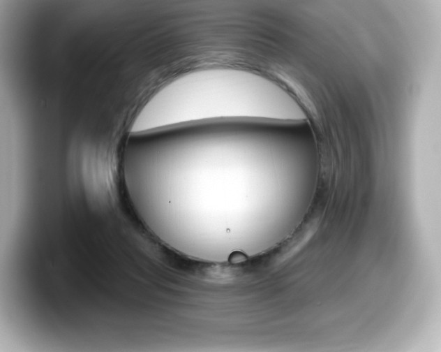 X0000099380261200805081205