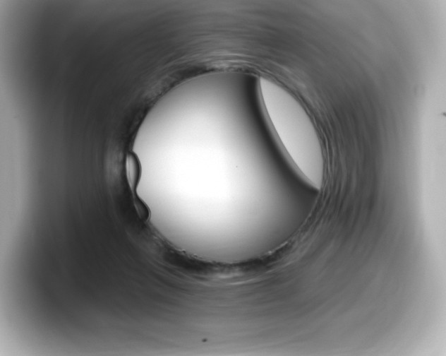 X0000099380263200805081205