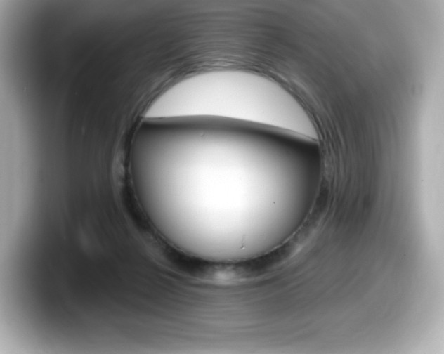 X0000099380264200805081205