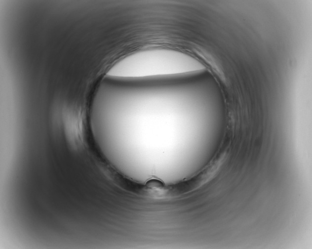 X0000099380265200805081205