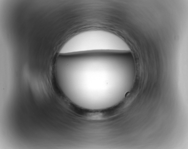 X0000099380266200805081205