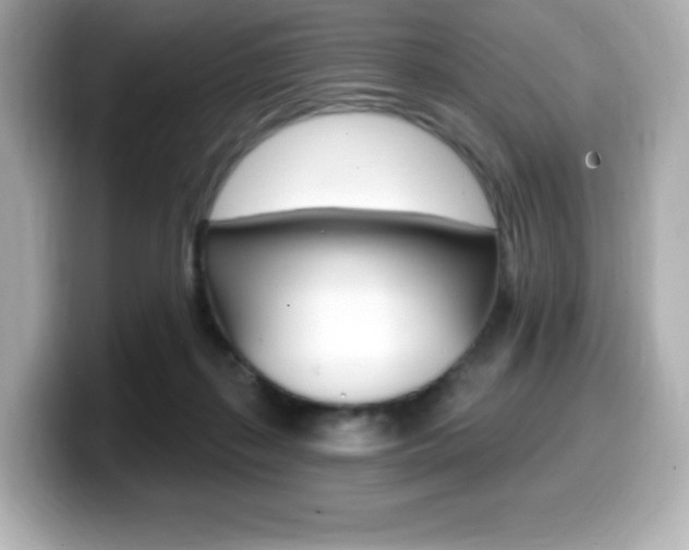 X0000099380267200805081205