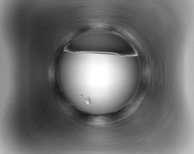 X0000099380268200805081205