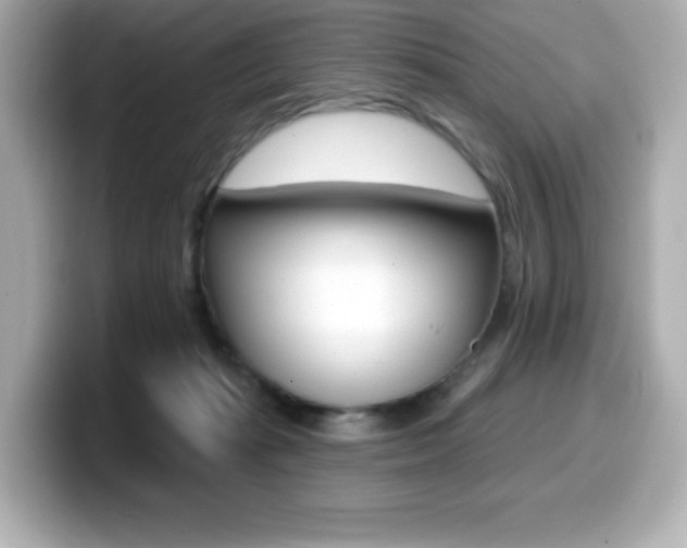 X0000099380269200805081205