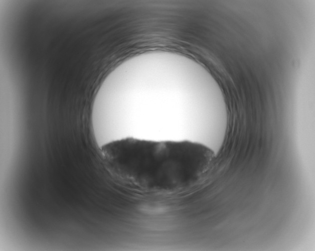 X0000099380270200805081205