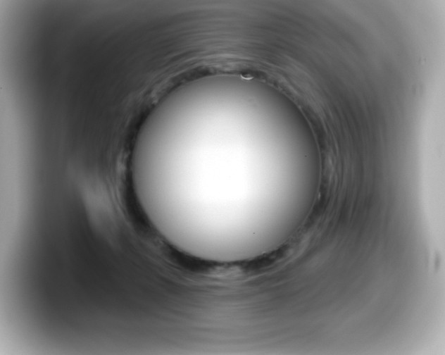 X0000099380271200805081205