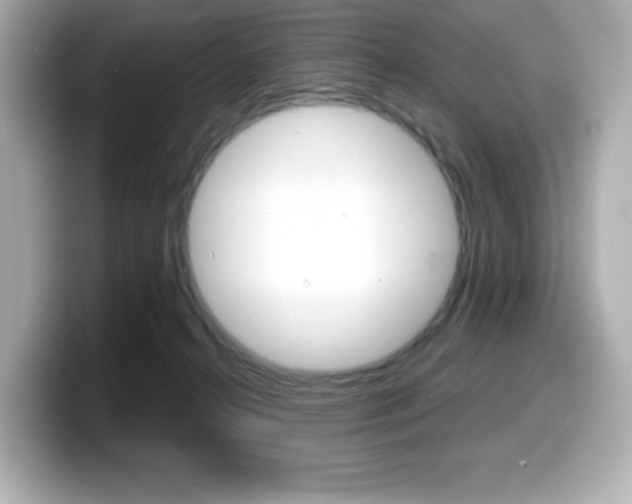 X0000099380272200805081205
