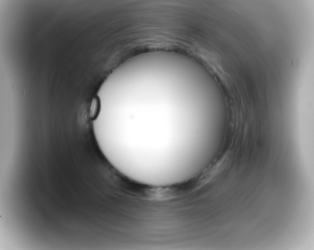 X0000099380273200805081205