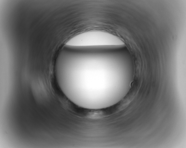 X0000099380274200805081205