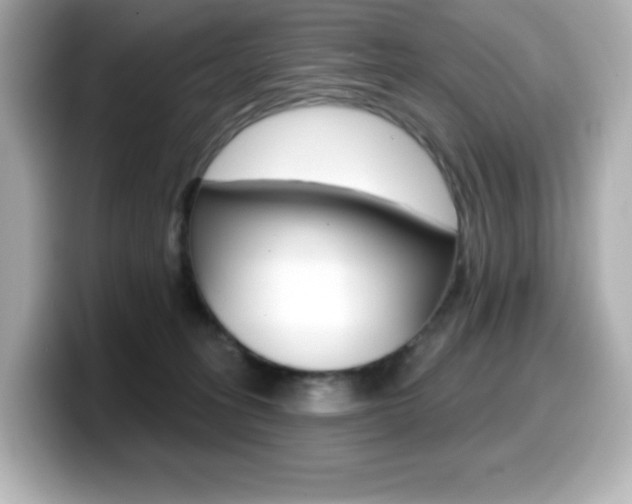 X0000099380275200805081205