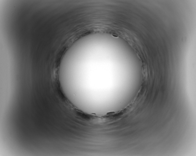 X0000099380276200805081206