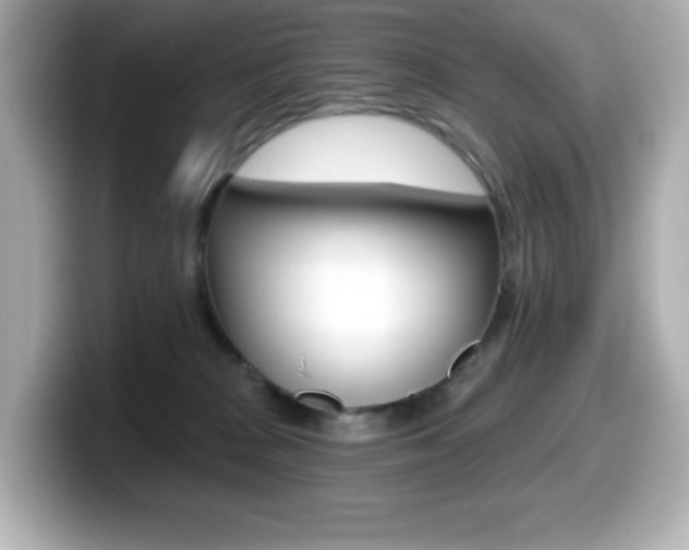X0000099380277200805081206