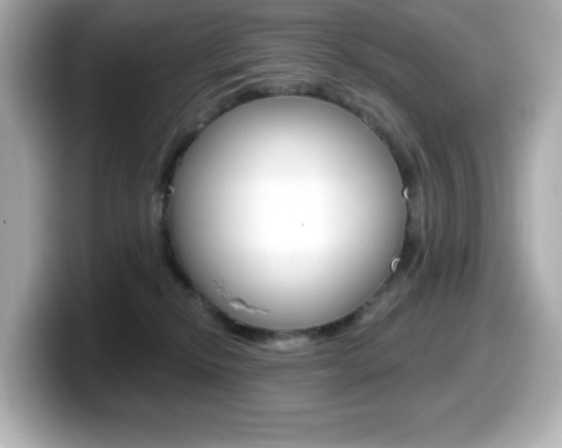 X0000099380278200805081206
