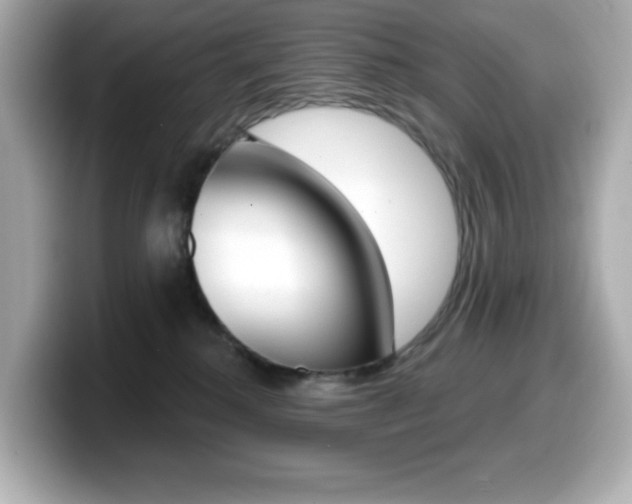 X0000099380280200805081206
