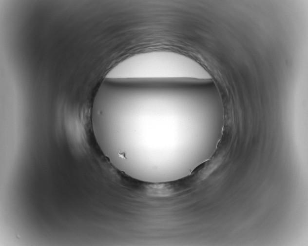 X0000099380281200805081206