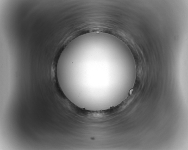 X0000099380282200805081206