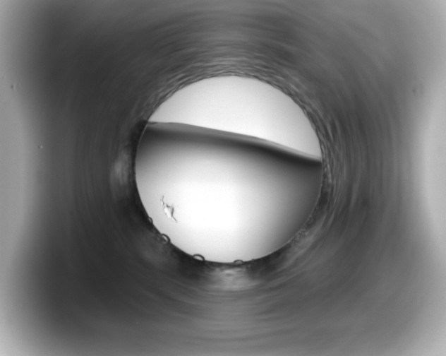 X0000099380283200805081206