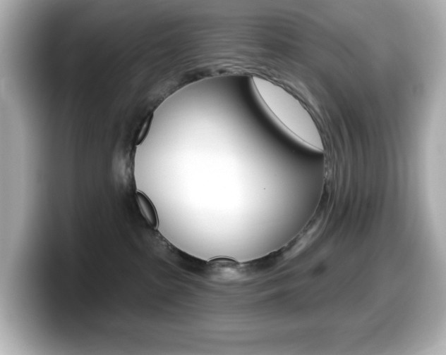 X0000099380285200805081206