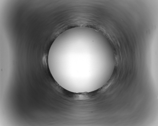 X0000099380286200805081206