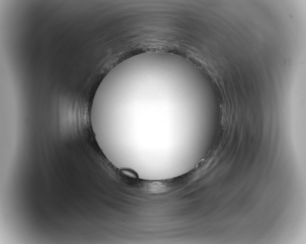 X0000099380287200805081206