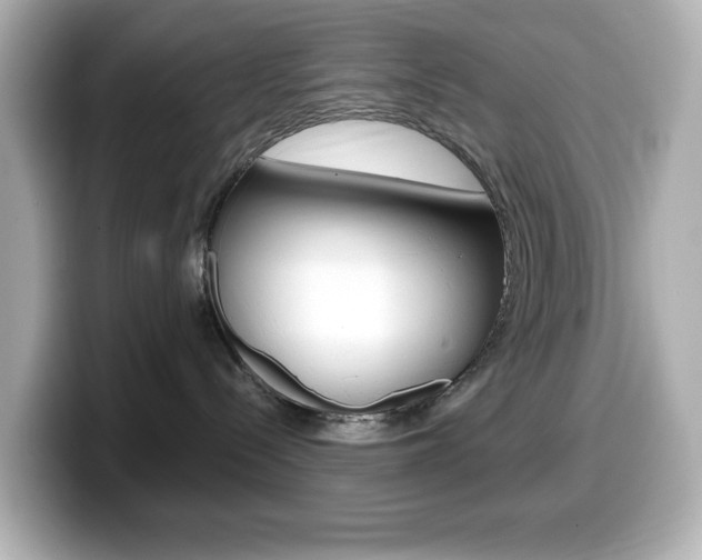 X0000099380288200805081206