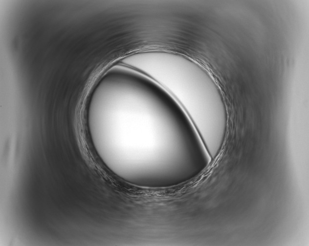 X0000099380289200805081205