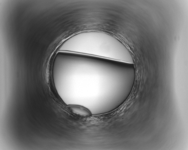 X0000099380290200805081205
