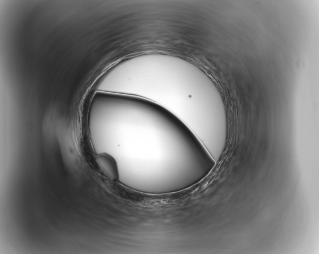 X0000099380291200805081205