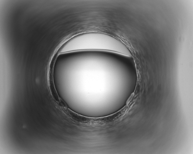 X0000099380292200805081205