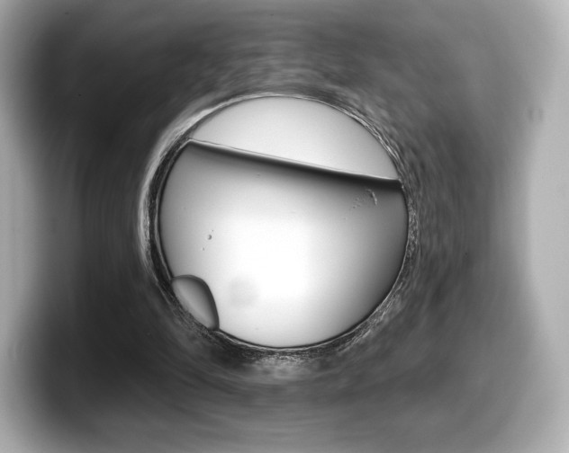 X0000099380294200805081205