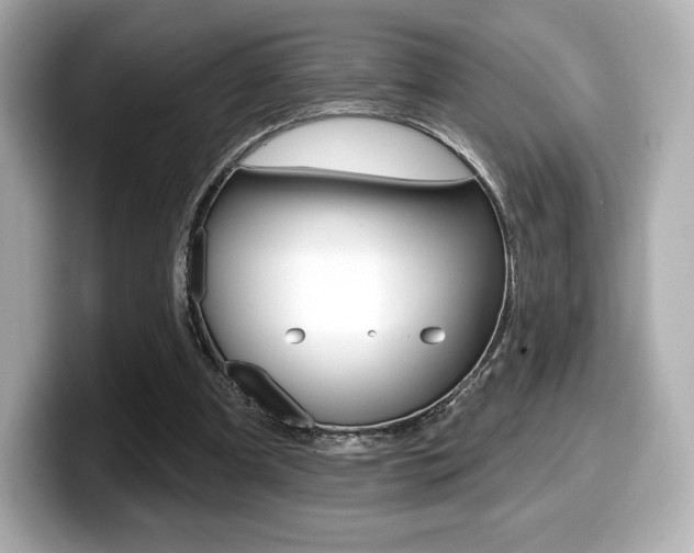 X0000099380297200805081205