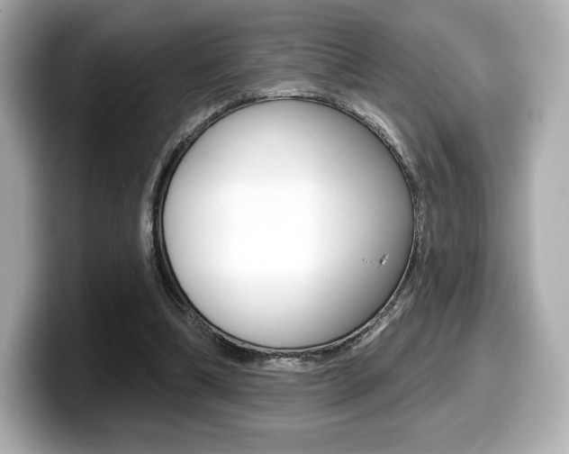 X0000099380298200805081205
