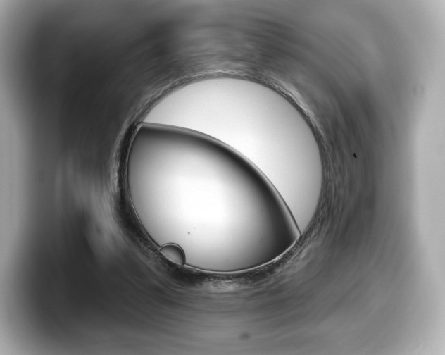 X0000099380299200805081205
