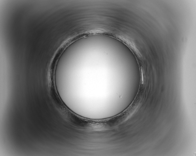 X0000099380300200805081205