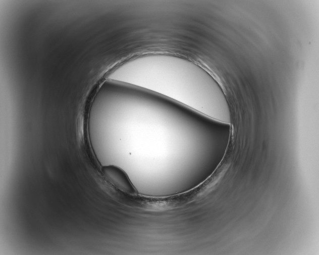 X0000099380301200805081205