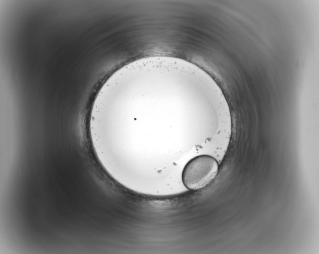 X0000099380302200805081205