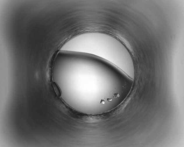 X0000099380305200805081205