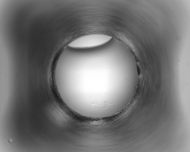 X0000099380306200805081205